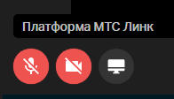 Кнопки микрофона, камеры и демонстрации экрана в левом нижнем углу